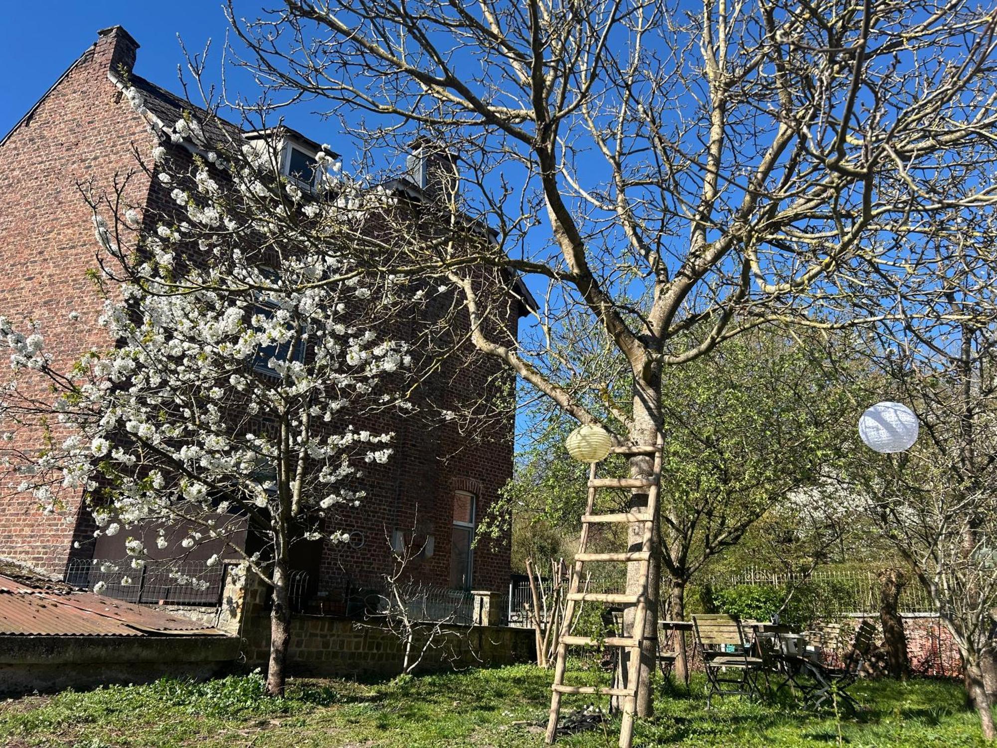 Appartamento 2Pas2Meuse Waulsort Esterno foto